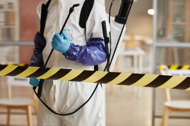 Professional Hoarding Cleanup technician working in Stoneham, CO
